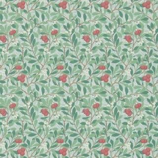Arbutus Thyme/Coral - DM3W214719