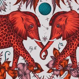 Emma J Shipley Wallpaper Zambezi W0121/01