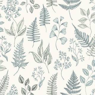 Betula - Cream