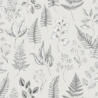 Betula - Grey