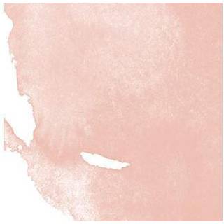 Aquafine Watercolor Ink Por. Pink