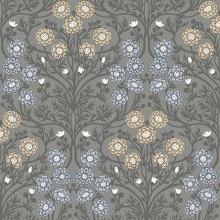 Bellis - Grey