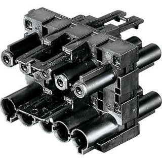 Wieland Gst18i5 fordelerblok sort