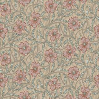 Poppy - Light Apricot