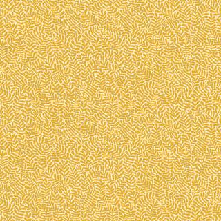 Anna - Warm Yellow - Outlet