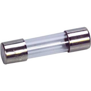 Eska Finsikring 3,15A 5x20 flink