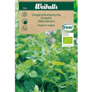Oreganofrø (Oregano origanum vulgare) Økologisk