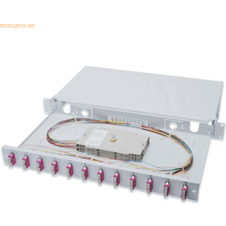 DIGITUS fibre-optic splice box - 1U - 19"