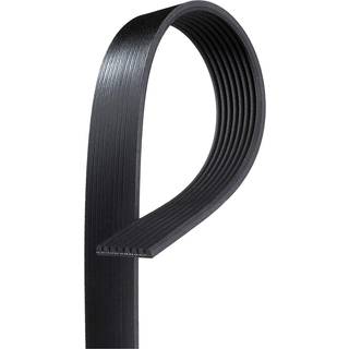 Gates K080810 Micro-V Serpentine Drive Belt
