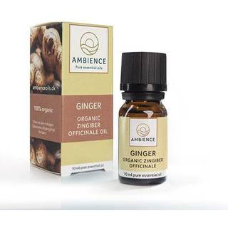 Ambience Ingefær Olie Ø (10 ml)