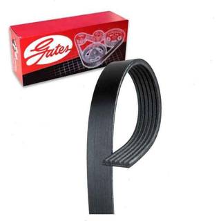Micro-V Serpentine Drive Belt