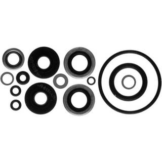 Sierra International 18-2656 Marine Lower Unit Seal Kit til Johnson/Evinrude p?h?ngsmotor Motor White