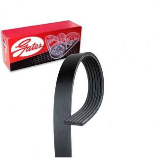 Gates K060975 Micro-V Serpentine Drive Belt