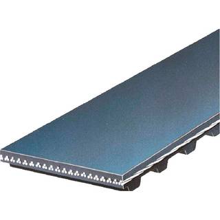 Gates T245 Premium Automotive Timing Belt