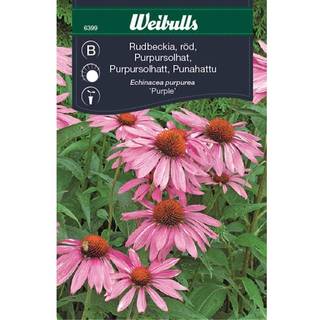 Blomsterfrø (Purpursolhat)