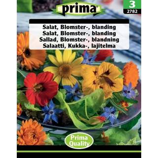 Salat blomster blanding - Blomsterfrø