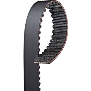 Gates T296 Premium Automotive Timing Belt