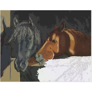 Paint by number Heste