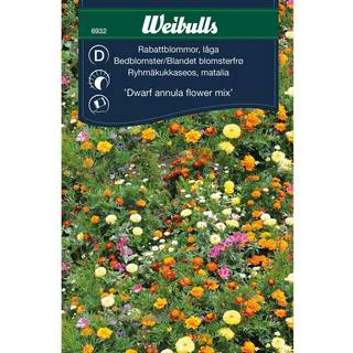 Blomsterfrø (Bedblomster Lav 'Dwarf annula flower Mix')
