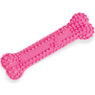 Hund Bidering Nylabone Blå Kylling Blue Termoplastisk XS-størrelse Hvalpe