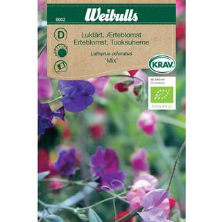Blomsterfrø (Ærteblomst lathyrus odoratus 'Mix') Økologisk