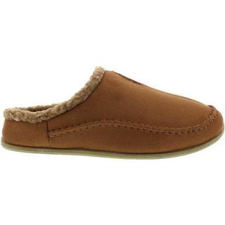 Hjorte stags herre glider p? hjemmeskast kastanje 15 m us