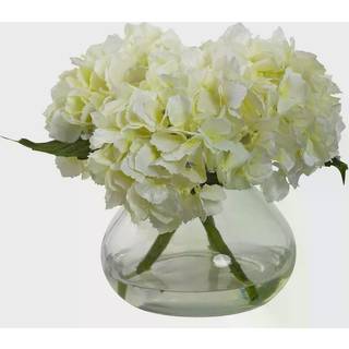 N?sten naturlig blomstrende hortensia med vase