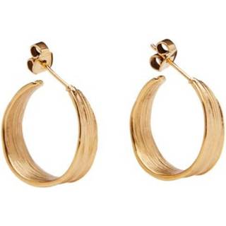 Olive Petit Øreringe, Guld