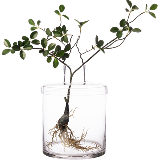 Glasvase med låg, 28 cm