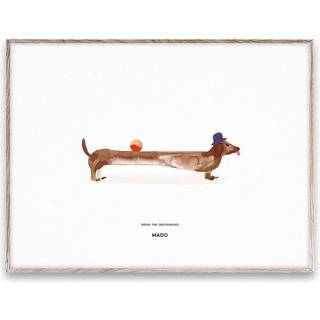 Paper Collective Doug the Dachshund plakat 30x40 cm