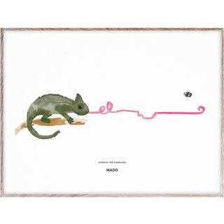 Mado Charlie The Chameleon Plakat 50x70 Cm - Plakater Munken Lynx-papir Hvid - M1126