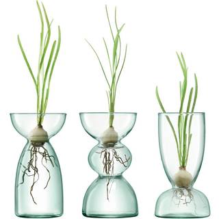 LSA International Vases - 'Canopy Trio' vase, set of three in Clear glass