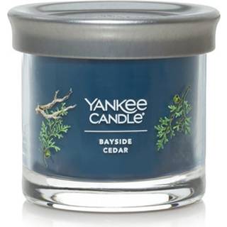 Yankee Candle Bayside Cedar Duftende signatur 4,3 oz Lille tumbler Enkelt Wick Candle Over 20 timers forbr?ndingstid