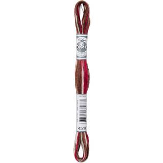DMC Mouliné Multi Color Broderigarn Farve 4516
