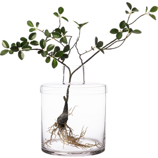 Glasvase med låg, 21 cm