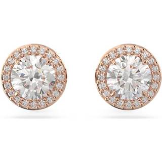 Swarovski Una Angelic Constella Stud Øreringe Rosaforgyldt Rustfrit Stål 5636275 - Dame - Stainless Steel