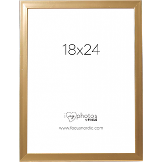 Focus Pop Gold 18x24 - Ramme