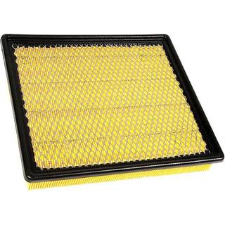 ACDELCO GM Originalt udstyr A3176C luftfilter