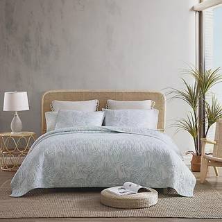 Tommy Bahama - Twin Quilt Set Reversible Cotton Bedding With Matching Sham Tropical All Season Home Decor (Palmday Gray Twin) Light Green King