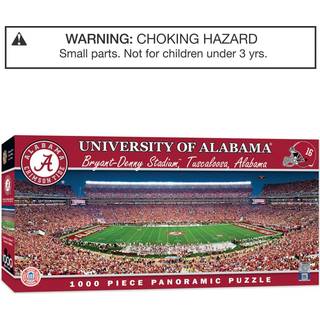 Alabama Stadium Panorama