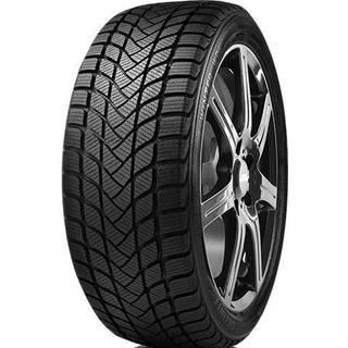 Delinte WD6 XL 205/55R17 95H
