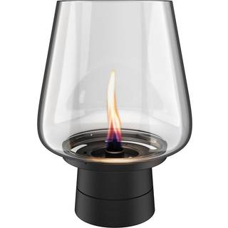 Tenderflame Amaryllis 25 Sort