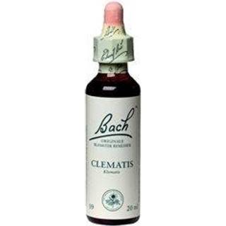 Bach Clematis - 10 ml
