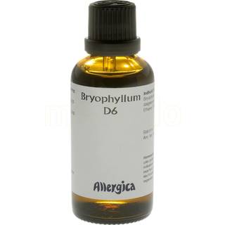 Bryophyllum D6 (50 ml)