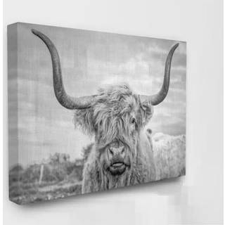Stupell Industries sort og hvid Highland Cow Photograph Canvas Wall Art Design af Joe Reynolds 24 X 30