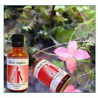 Holistica Medica Pande maskulin chakra - 50 ml.