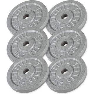 Vægtskiver IRON Silver 6x5 kg
