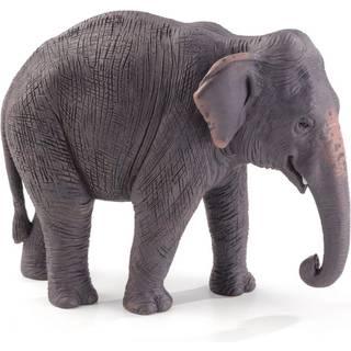 Mojo Asiatisk elefant