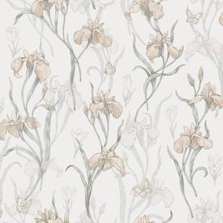 Iris - Powder Pink