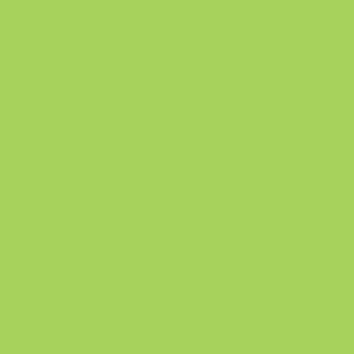 Tombow Farveblyant Irojiten spring green